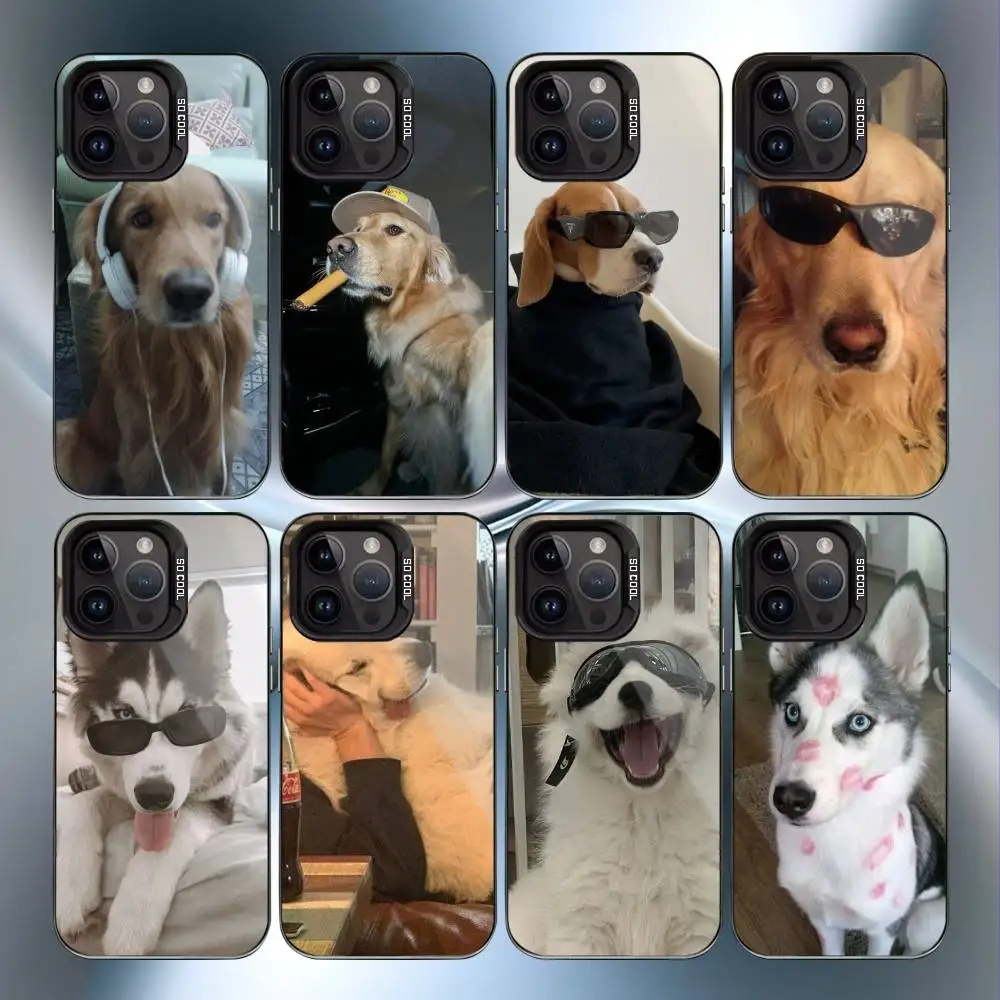 

funny dog Phone Case For iPhone17,16,15,14,13,12,11 Plus,Pro Max Black Candy Matte Shockproof Cover