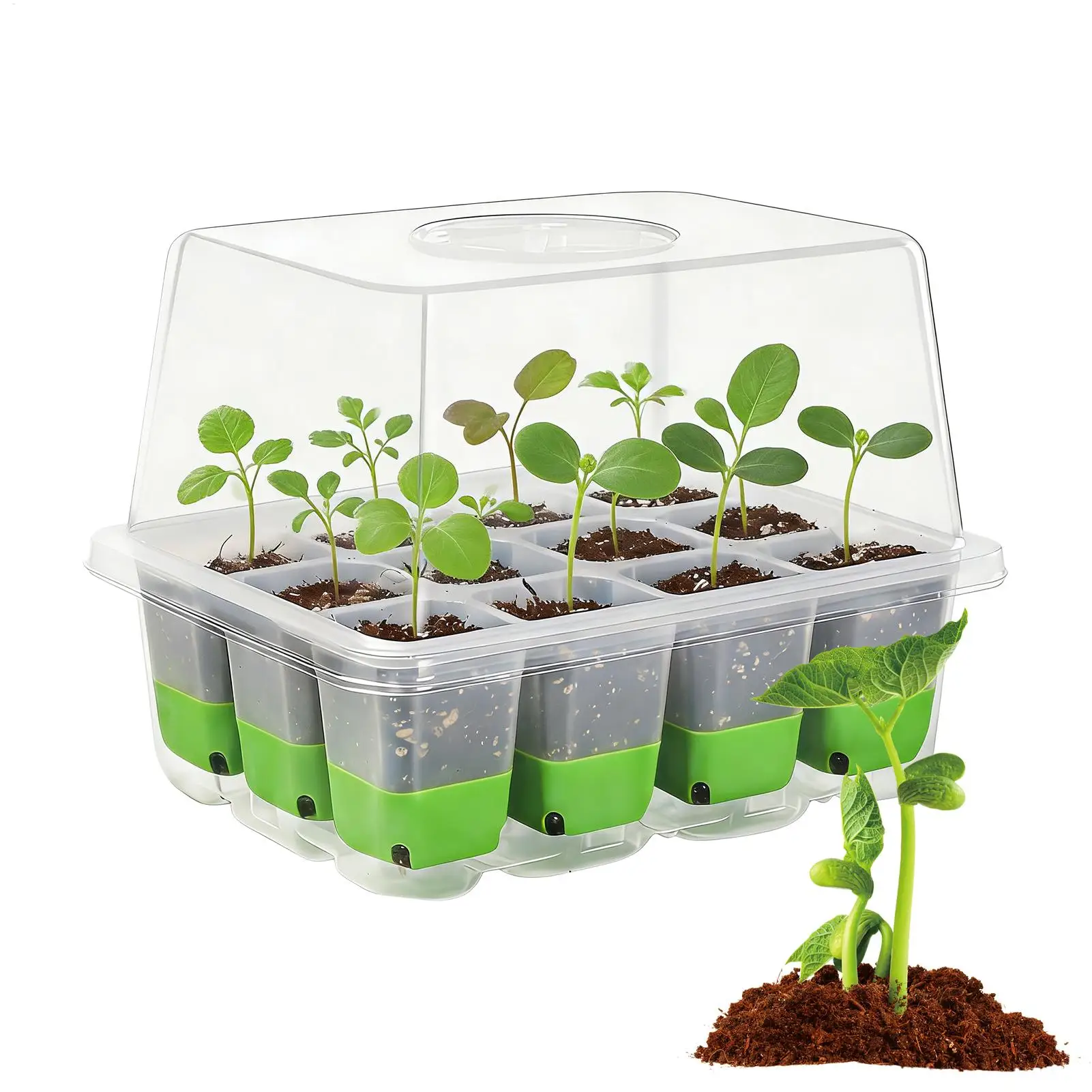 Anzuchtschale für Setzlinge, Indoor-Garten-Gewächshaus, Pflanzgefäß mit Abdeckung, einstellbare Luftfeuchtigkeit, Keimungsbox, Gartenzubehör