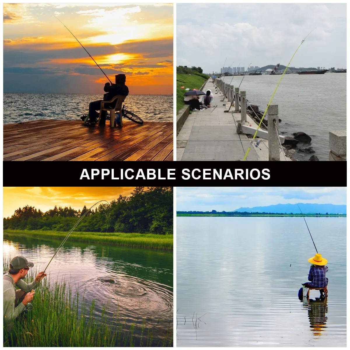 

5 Pcs Bait Cage Sports Pike for Fishing Goods Tools Sea Accessories Professional Traps Lobster Feeder