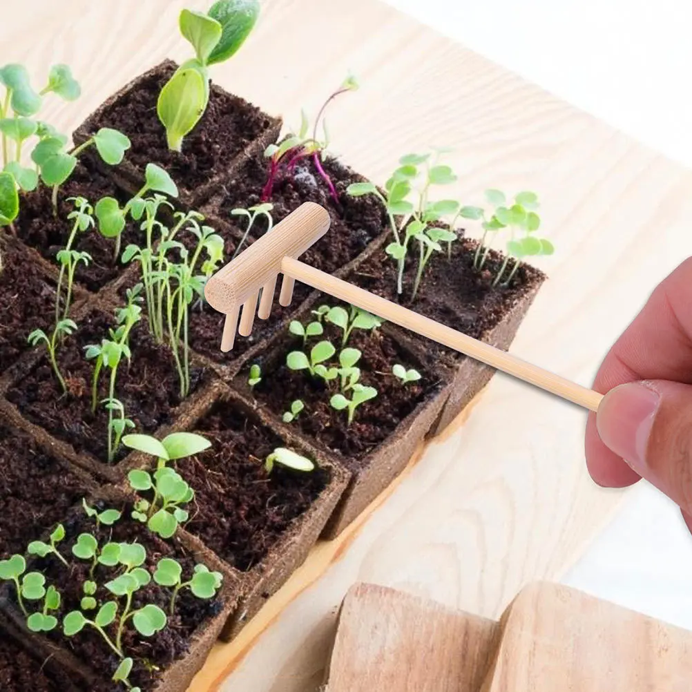 

3 шт. бамбуковые мини-грабры для дзен-сада, садовые инструменты для дзен, четыре зубца, настольные грабли, аксессуары для медитации, сада для домашнего офиса