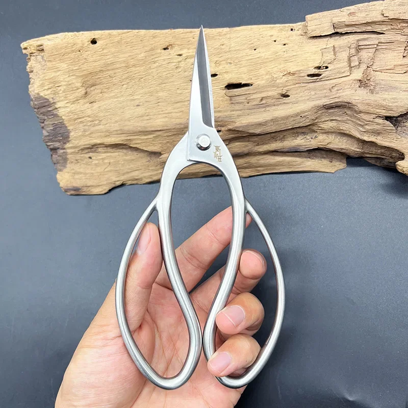 Stainless Steel Bonsai Flower Arrangement Scissors, Leaf Bud Pruning, Floral Pruning, Branch Pruning, Gardening Scissors