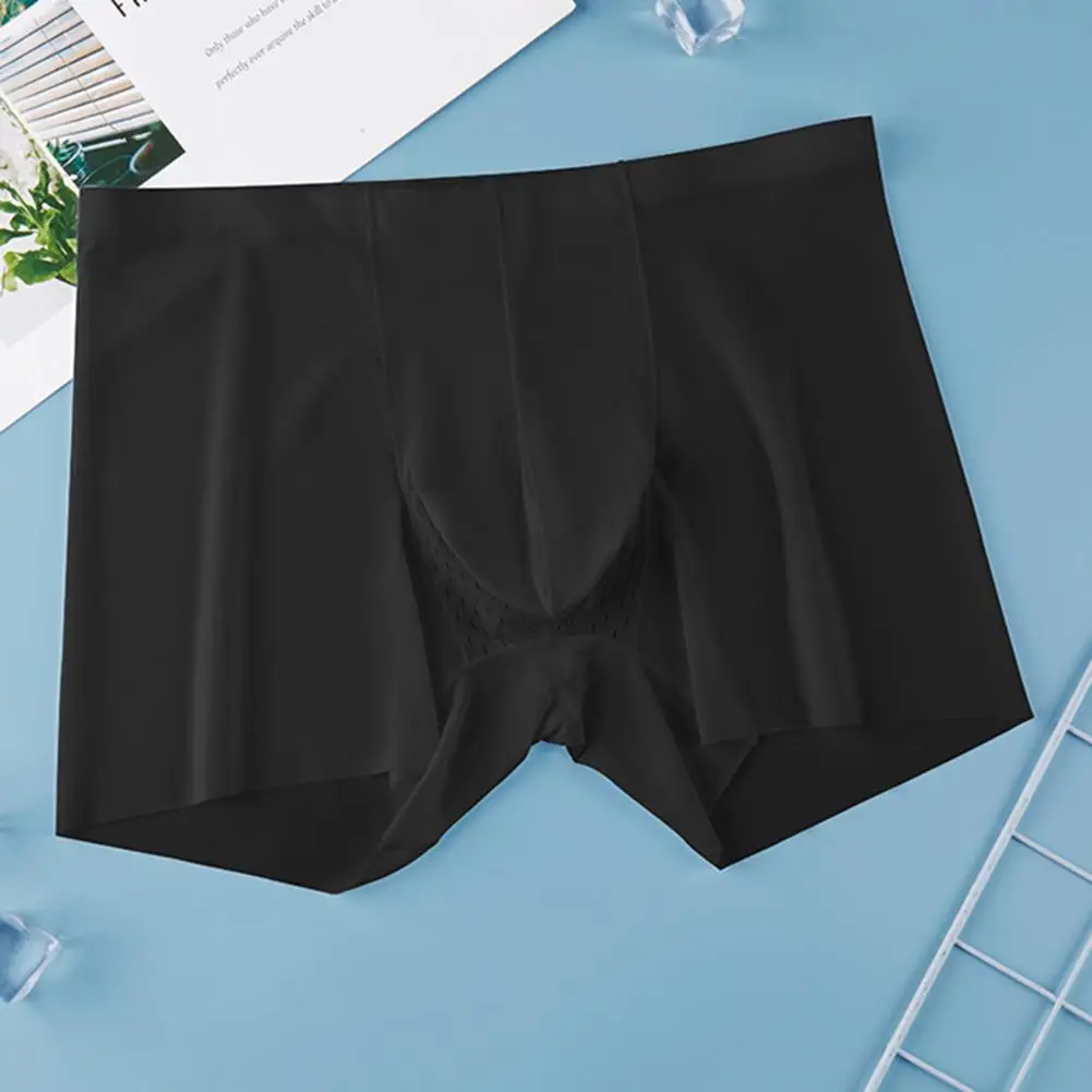 

Casual Men Underwear Men's Seamless Quick Drying Underwear Transparent Mid-rise Shorts Elastic Waist Panties Summer for Comfort