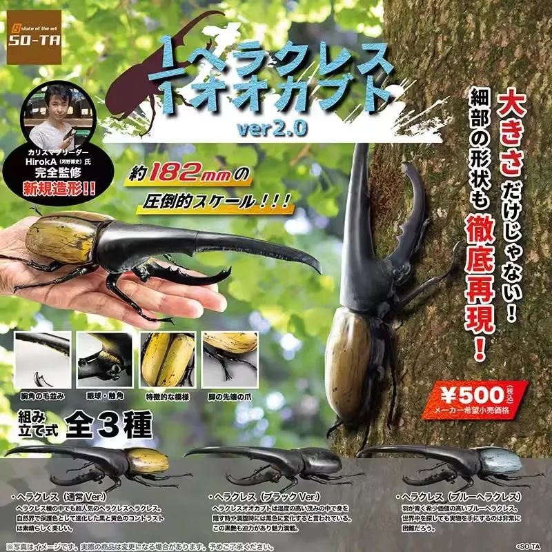 

SO-TA Gashapon Figure Anime Cute 1/1 Artificial Insect Japanese Rhinoceros Beetle Kawaii Figurine Capsule Toys Gift