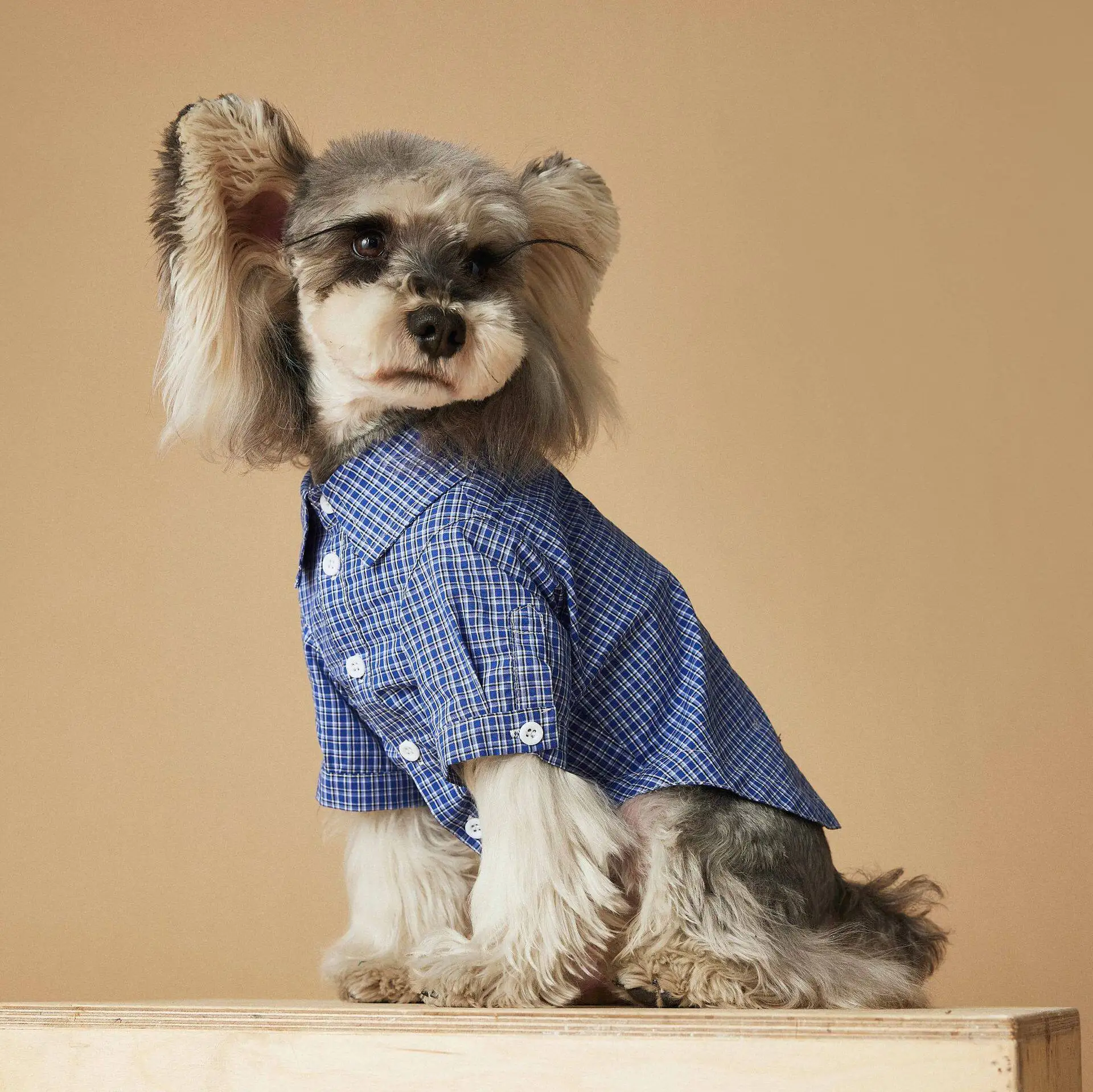 

Spring and Summer New Cotton Light and Breathable Blue Plaid Retro College Style Shirt Kitten Small Dog Clothes