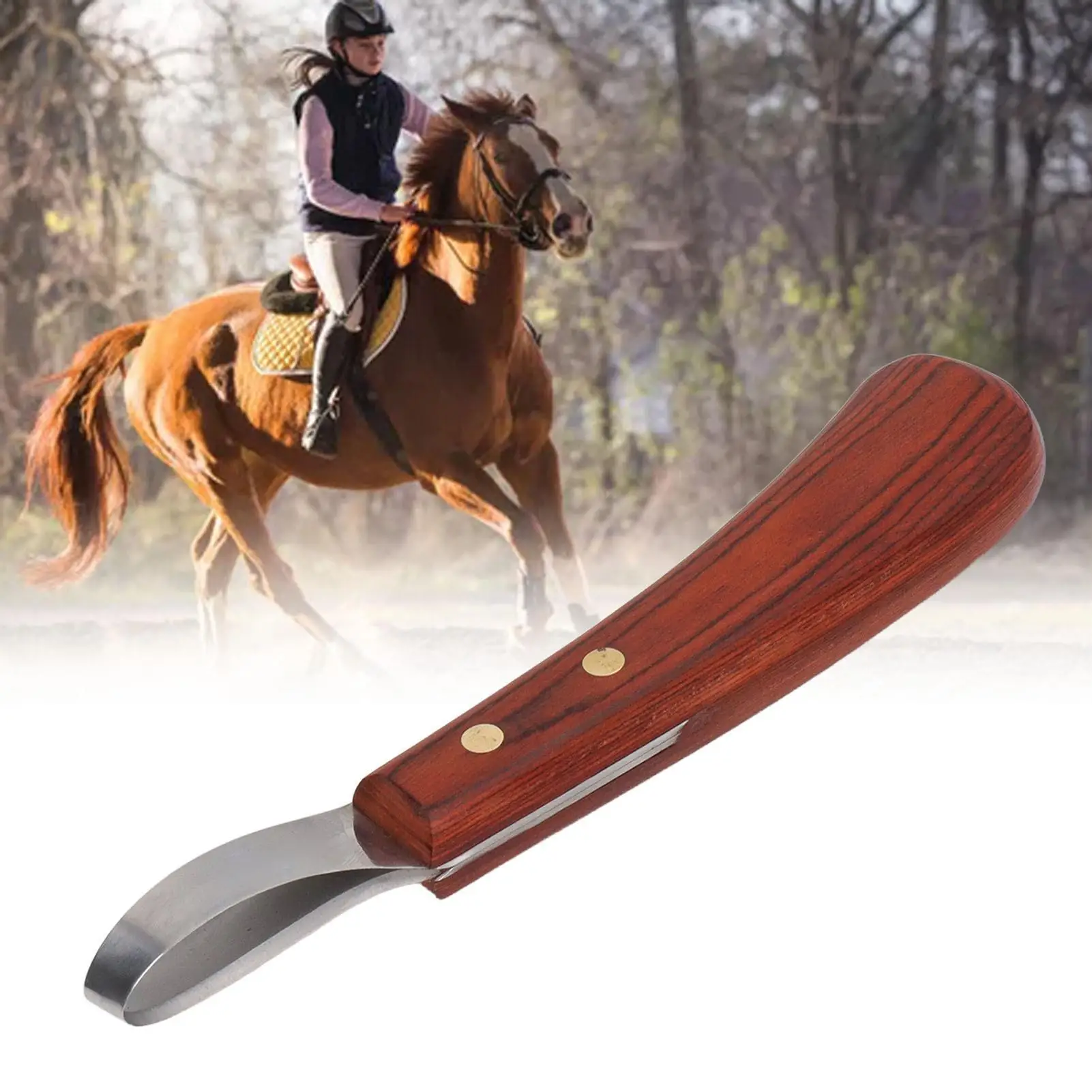 1 Pcs Stainless Steel Hoof Trimmer Shears with Wooden Handle - Cattle & Horse Hoof Knife & Cutter