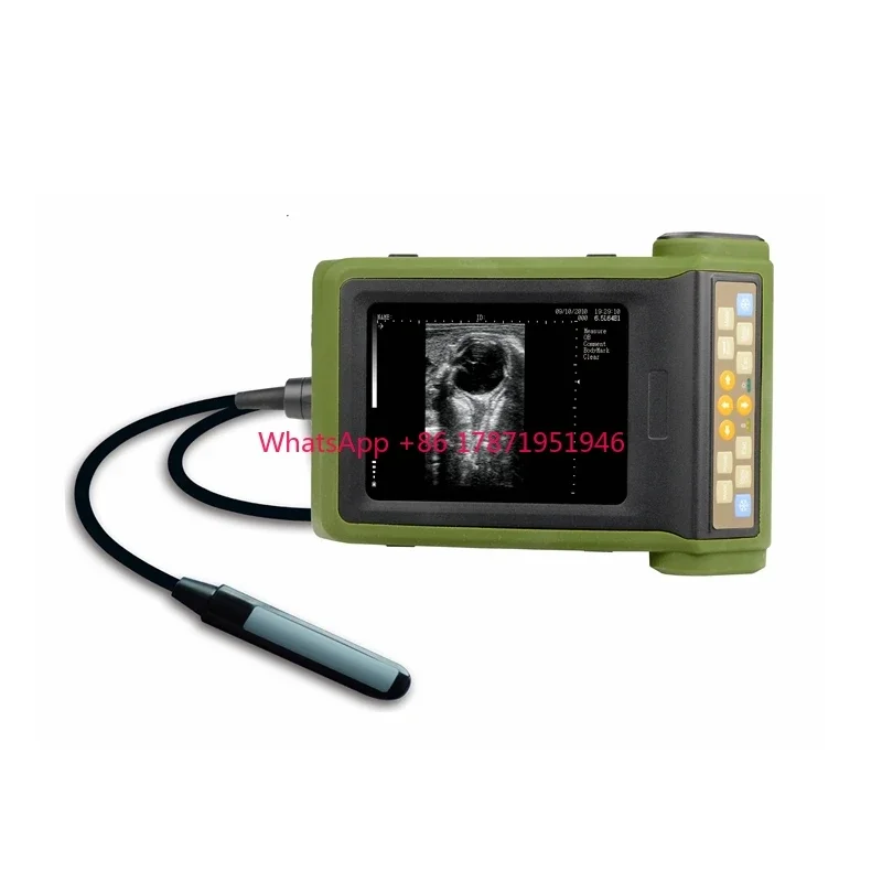 Cheap Portable Handheld Veterinary Equipment Veterinary Vet usg Ultrasound Machines with Best Quality