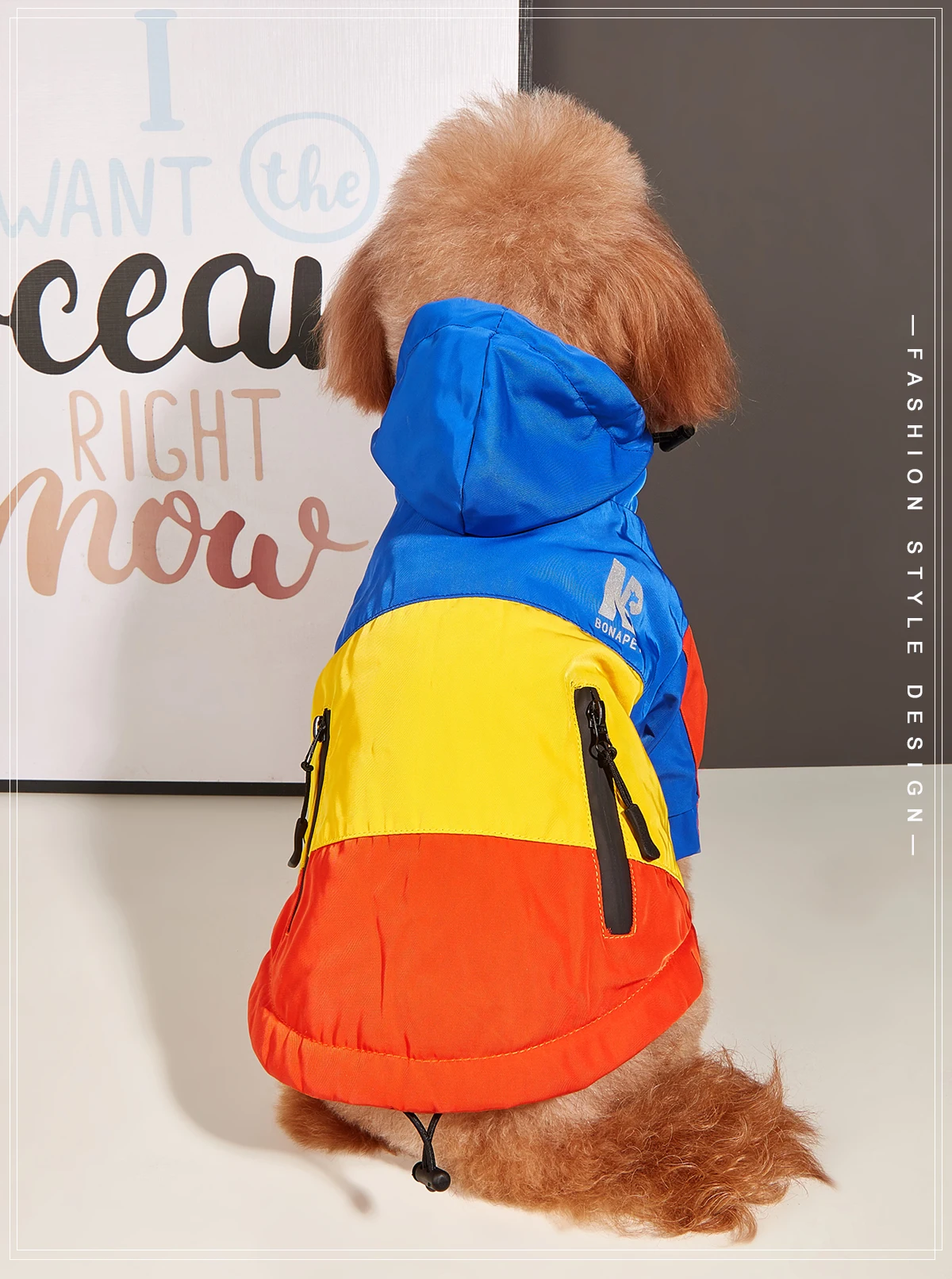 Wasserdichte Kleidung für große Hunde, Winter, warm, Haustier-Regenmantel für mittelgroße und große Hunde, modische coole Hundejacke, französische Bulldogge, Chihuahua-Outfit – Detail 15