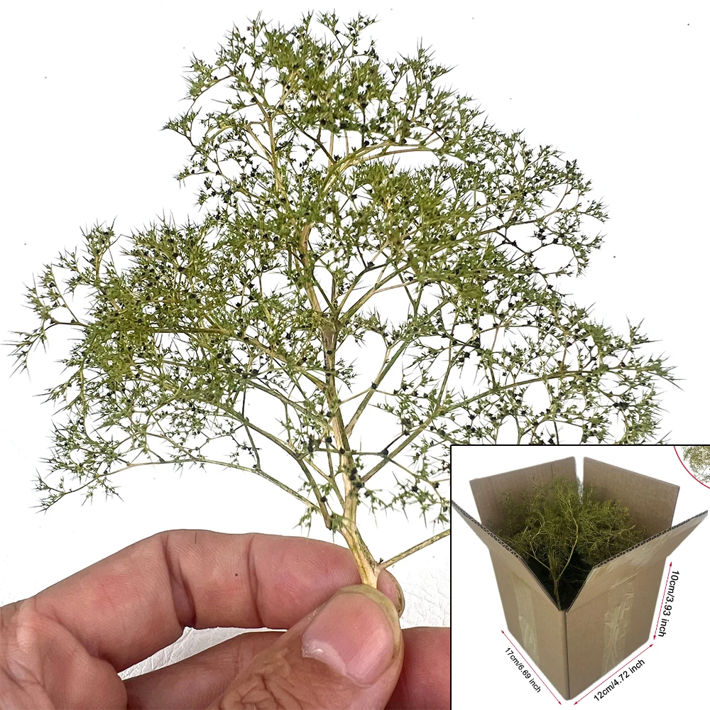 محاكاة العشب الجاف نموذج تشينوبوديوم أشجار الأرستاتوم بوش لطاولة الرمل HO العسكرية المناورات قطار السكك الحديدية المشهد 1 صندوق #4