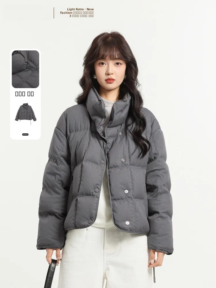 

Зимняя новинка 2025: Женская повседневная куртка свободного кроя с воротником-стойкой, утепленная, из полиэстера, для стройности фигуры.