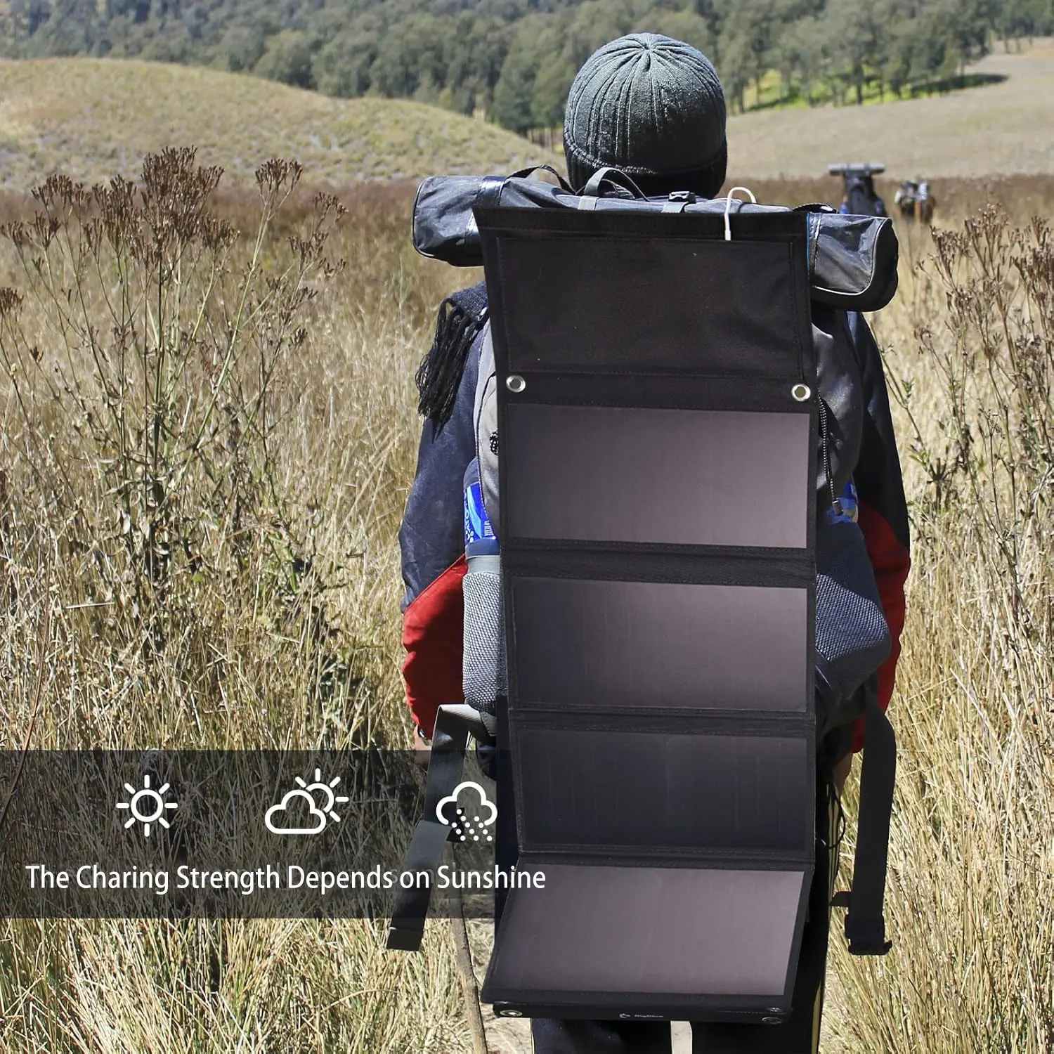 Портативная солнечная панель м – обзор и цена Jinko Solar Panel Cheetah