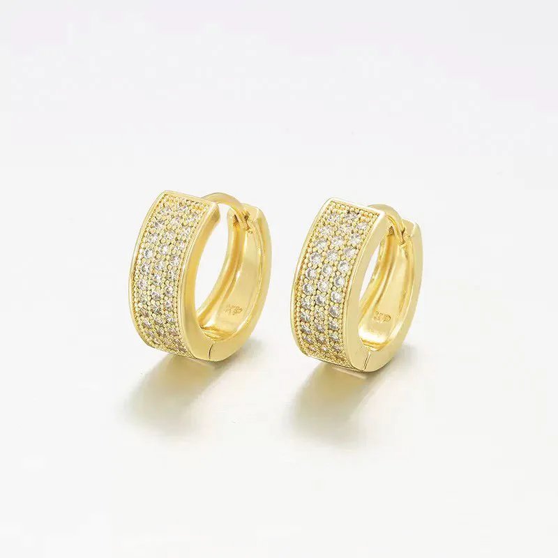 XP Jewlery--- 14 k Light Gold Plated Zircon Hoop Earrings for