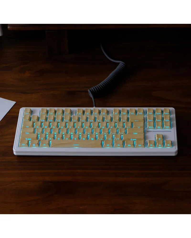 Keycap PBT original height, sublimation, mechanical keyboard cap wooting