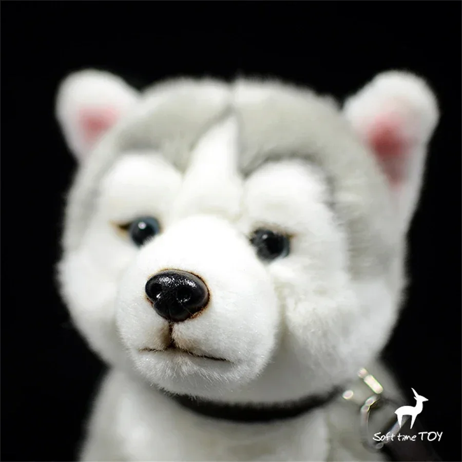 Peluche de Husky, Perro Eskimo Realista, Juguete de Peluche de Perro de Trineo, Muñeco de Malamuti de Alaska para Amantes