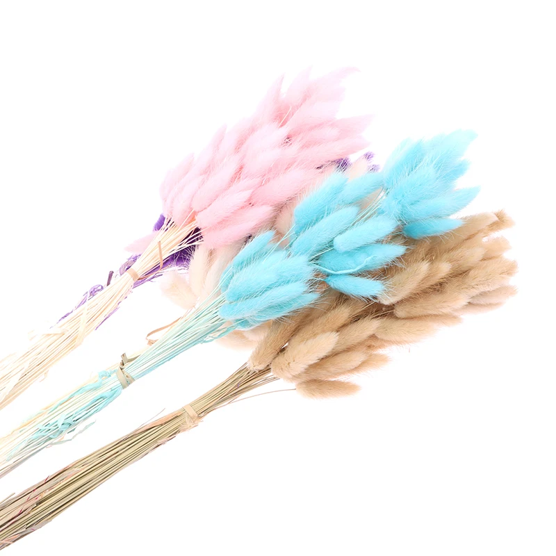 50pcs Nature Bunny Rabbit Tail Grass Dried Flower Bouquet Wedding Party Decor Fluffy Pampas Christmas Diy Floral Arrangement