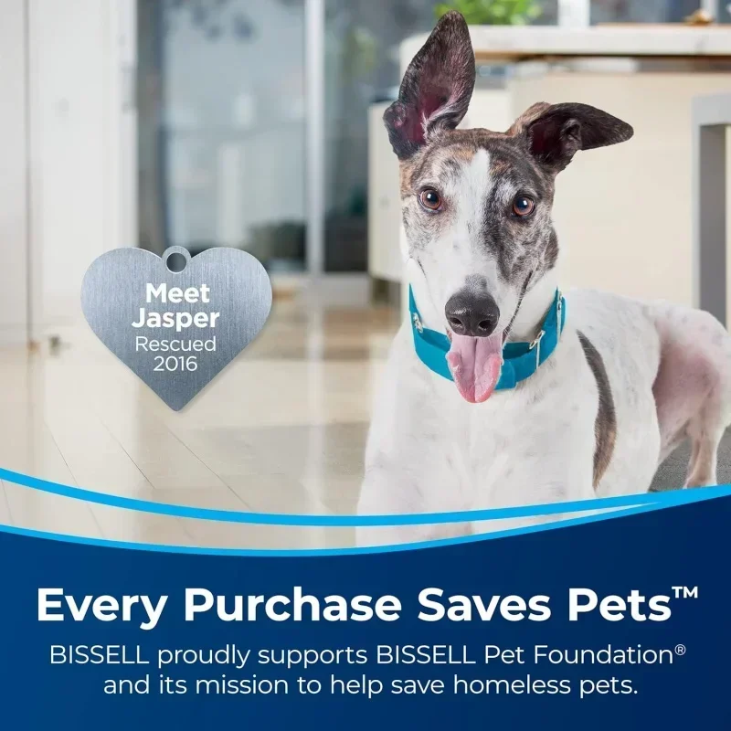 QWABISSELLS SurfaceSense Allergen Lift-Off Pet Upright Vacuum,with Tangle-Free Multi-Surface Brush Roll,LED Headlights,& Lift