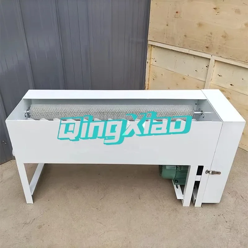 Brush Washing Egg Cleaner Machine Salted Duck Egg Cleaning Machine Food Machine and Supporting Equipment