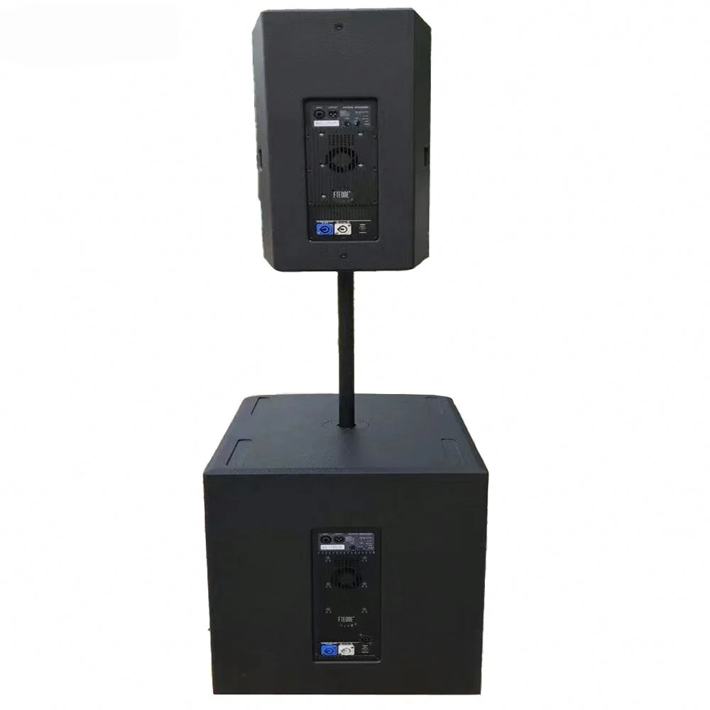 Voor Professioneel Geluid Dsp Amp Audio Speaker Active Line Array Systeem Dual 10Inch Sound Speakers Line Array Met Eindversterker