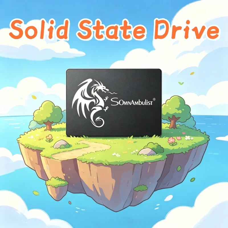 

Deluxe SomnAmbulist 2.5 Inch SATA3 SSD 120GB 240GB 480GB 960GB 128GB 256GB 512GB 1TB Snappy Internal Solid State Drive
