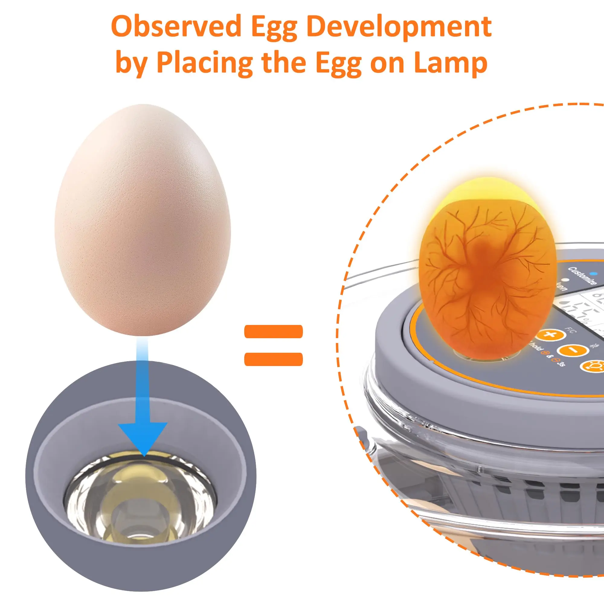 Incubators for Hatching Eggs, 12 Chicken Incubator with Automatic Egg Turning and Humidity Control, for Quail, Chickens, Duck