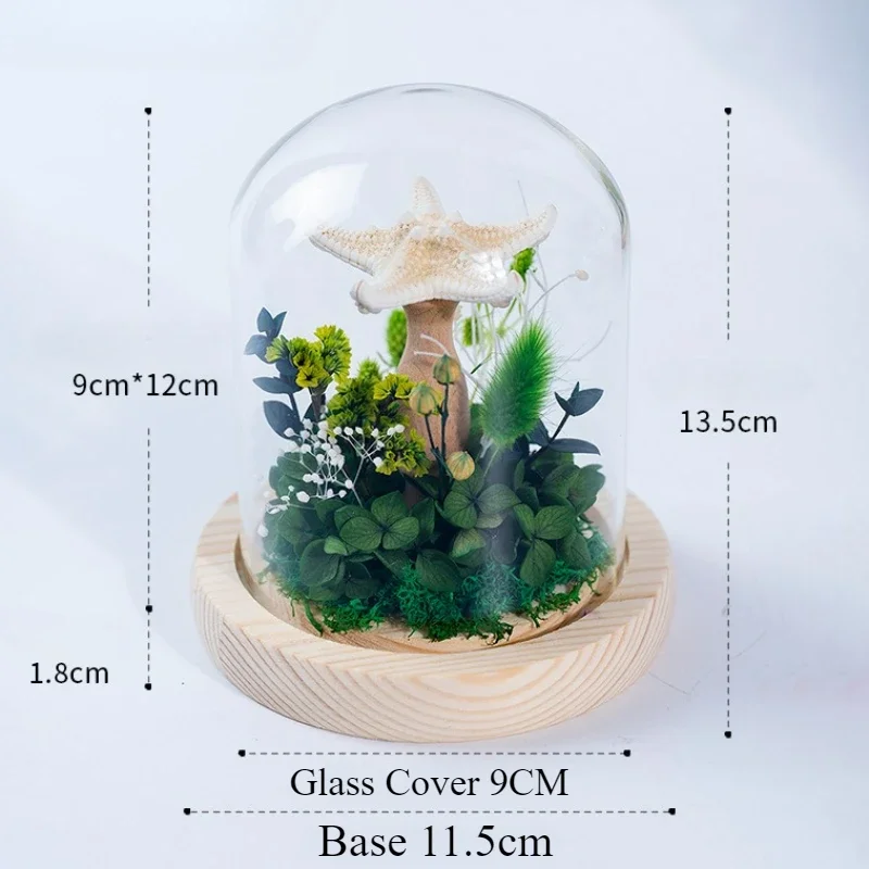 Cute Night Light DIY Material Pack Luminous Sea Urchin Shell Jellyfish Lamp Desktop Decoration Birthday Gift Night Light