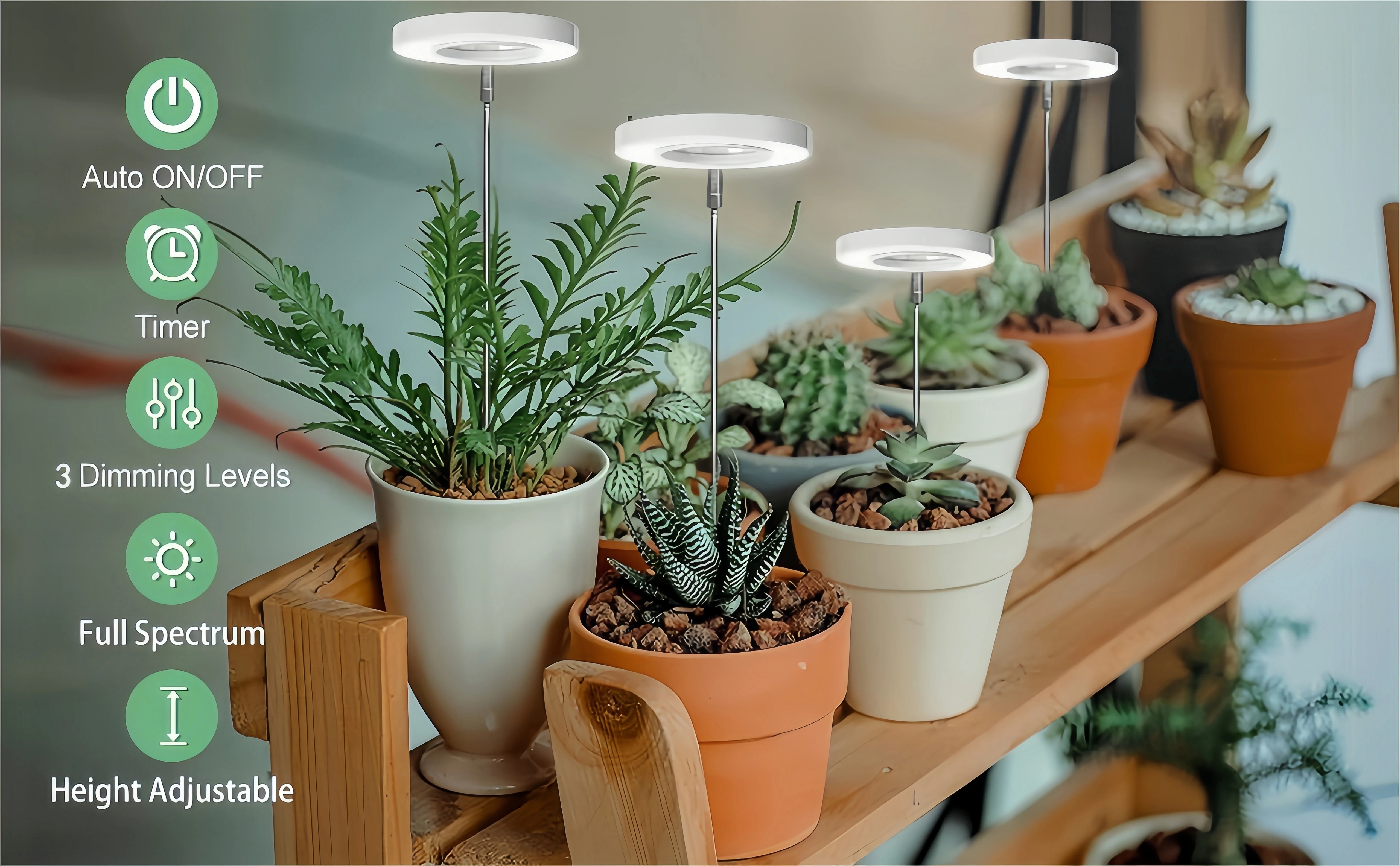 【セール中】植物育成ライト、屋内植物用LED育成ライトフルスペクトル、高さ調節可能、自動タイマー、小型植物ライトに最適