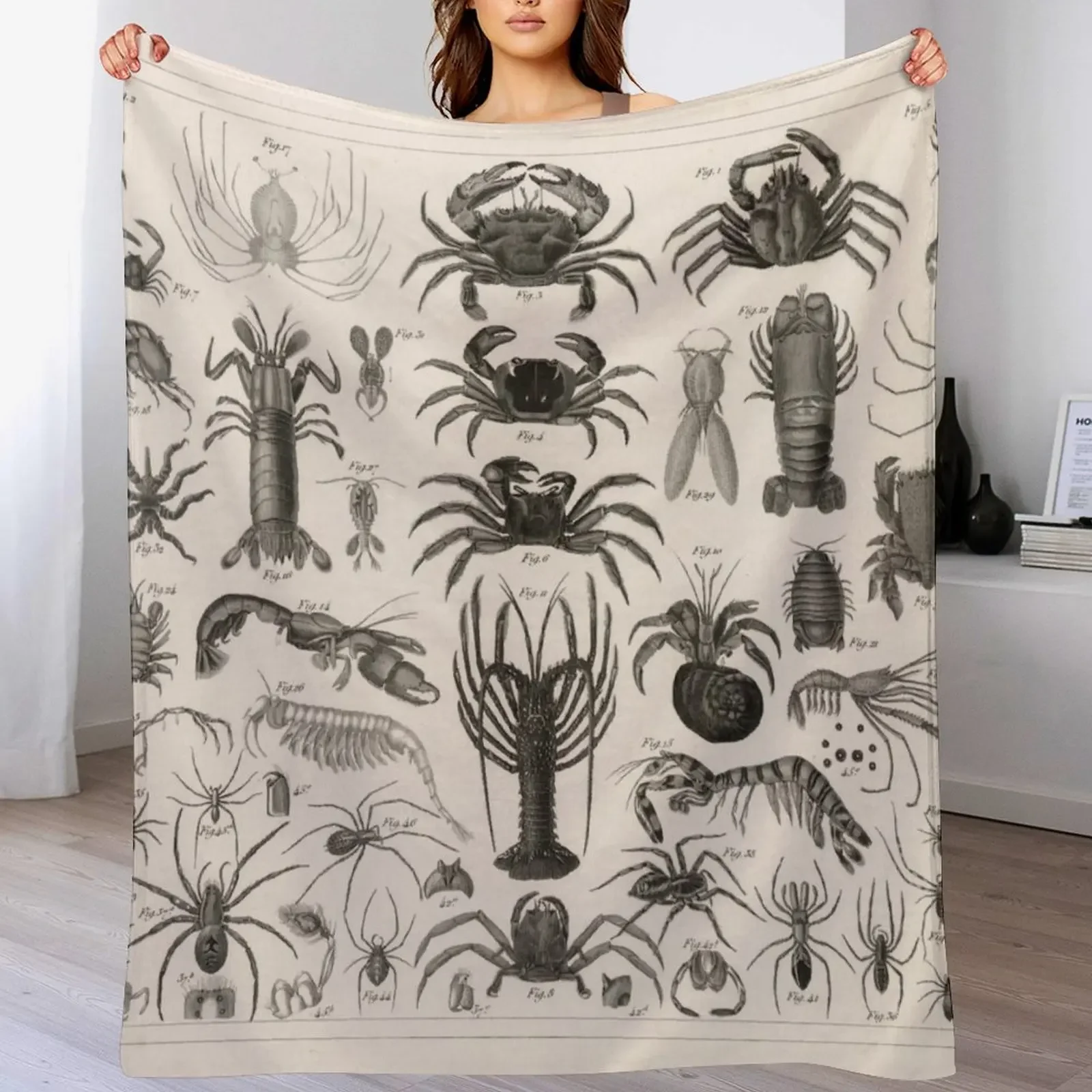 

1857 Diagram Zoology: Animals including Crustaceans. Throw Blanket christmas decoration Decorative Beds sofa bed anime Blankets