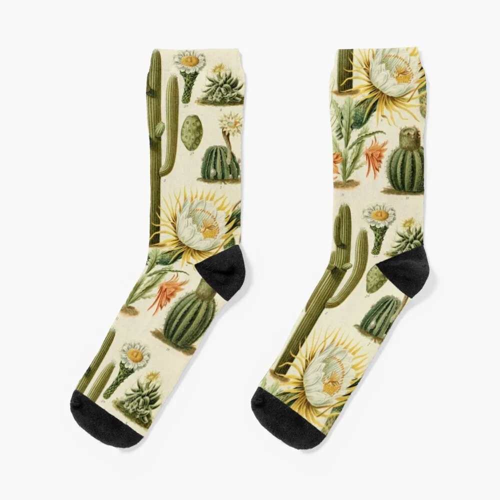 Calcetines de cactus para hombre y mujer, calcetín de lujo, moda japonesa, marca de lujo