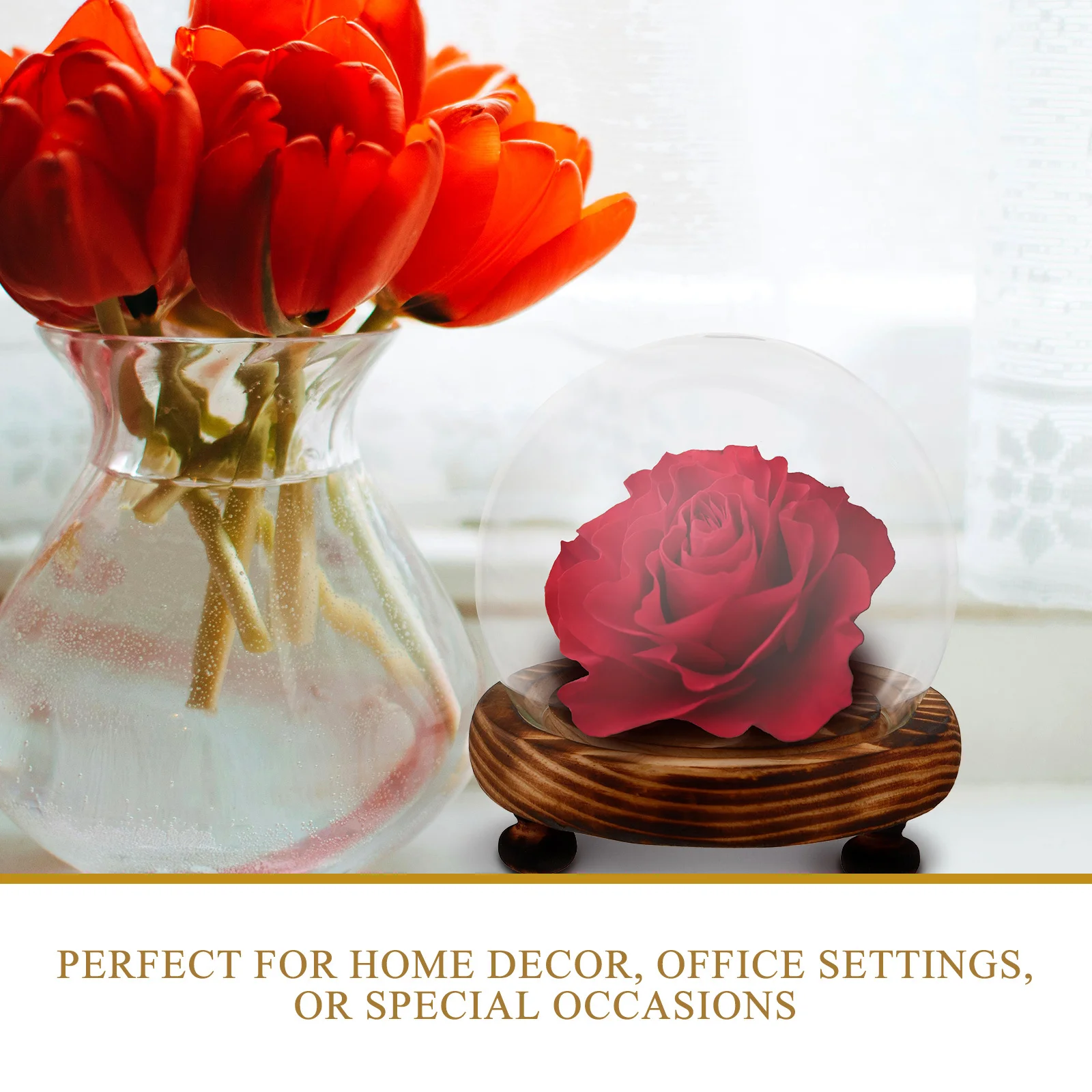 

Glass Display Dome Cloche Dome Flower Glass Cover with Stable Wooden Base Clear Display Case for Home Decor Rose Globe