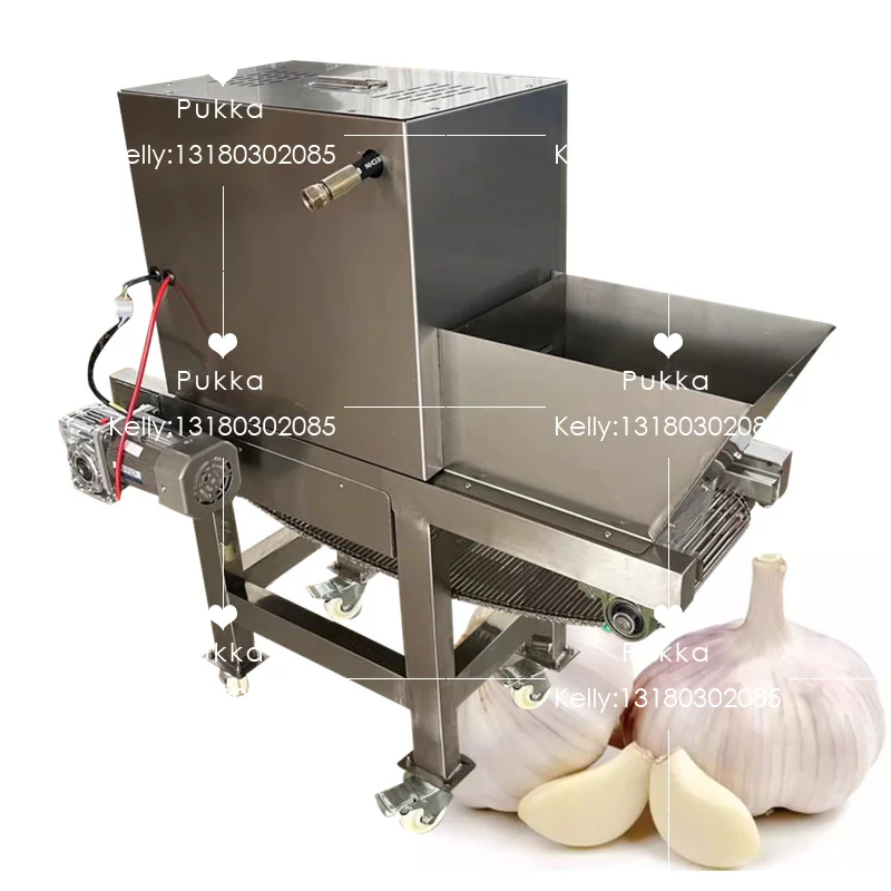 100-400KG Excellent Performance And Quality PK-100 CE Garlic Chain Peeling Machine