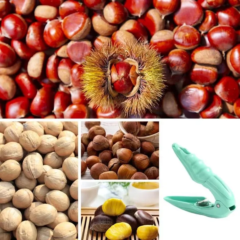 Clip per dado in plastica da 1 pezzo con lama seghettata a croce universale 3 colori apri per castagne da cucina clip per alimenti antiscivolo