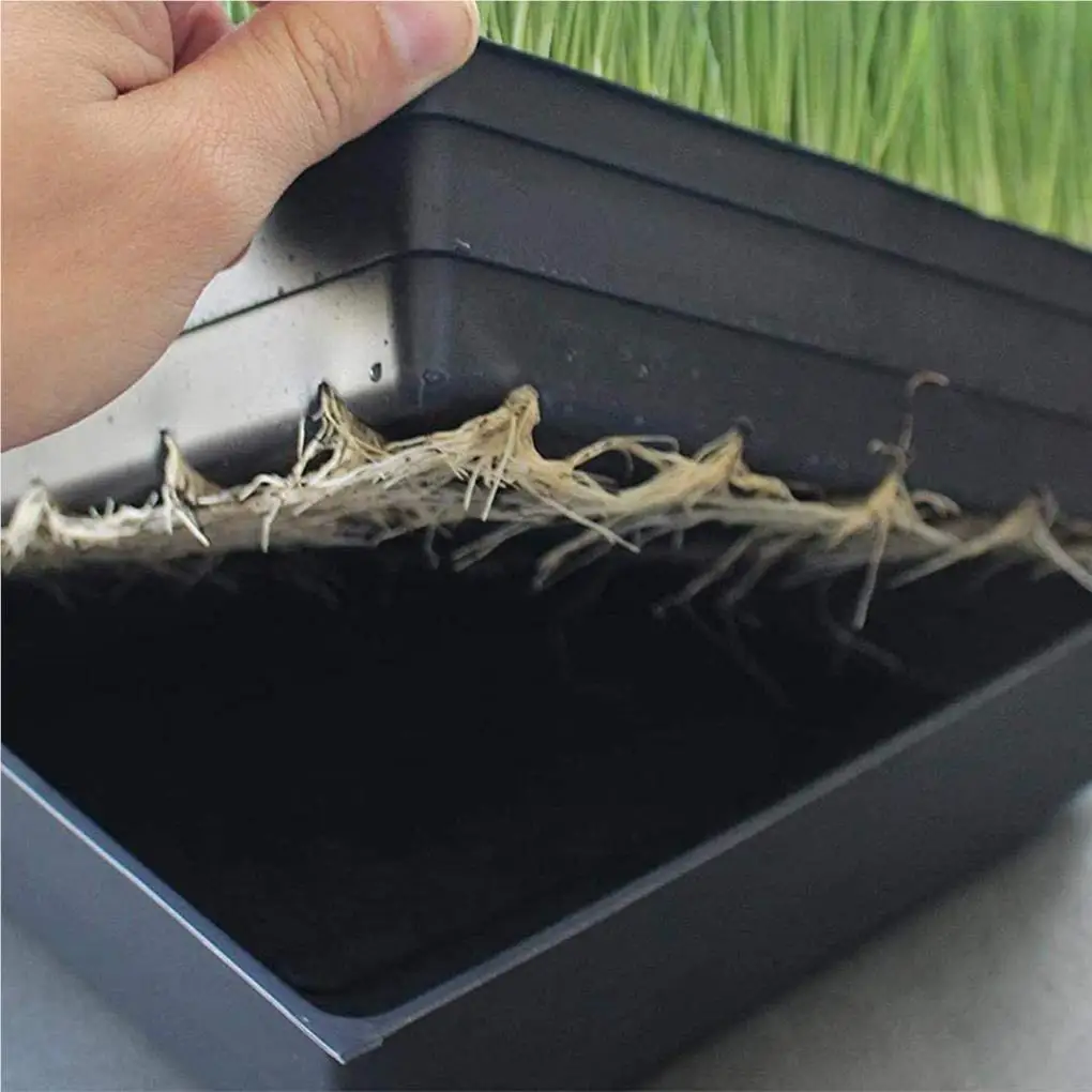 

2pcs Seedling Tray Lightweight Wear-resistant Seed Starters Portable Mesh Bottom Seedlings Box Microgreens Soil Blocks