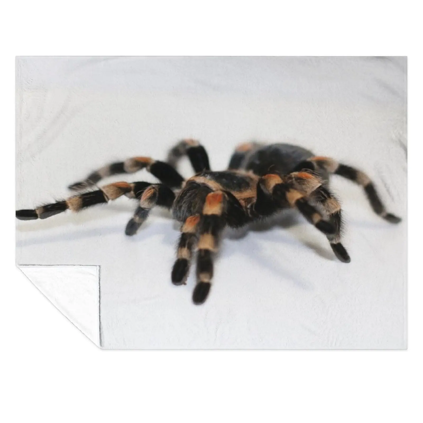 

Tarantula Throw Blanket Flannel Fabric Sofa Throw Thermal warm for winter Blankets