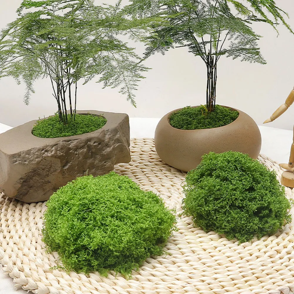 30/50/100g Mini Landscape Fake Grass Eternal Artificial Green Moss DIY Crafts Home Living Room Garden Grass Plants Decorations