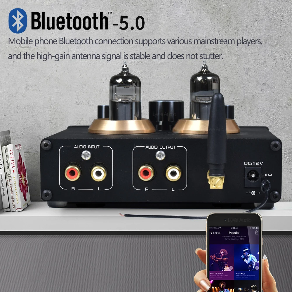 ES9023 DAC Tube Headphone Amplifier 6J3 Bluetooth 5.0 HiFi Home Sound Amplifier TL072C Vacuum Tube Preamplifier U Disk TF Card