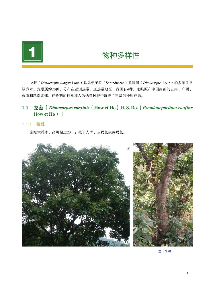 Book-Winshare Diversity Of Fruit Tree Genetic Resources in China Longan