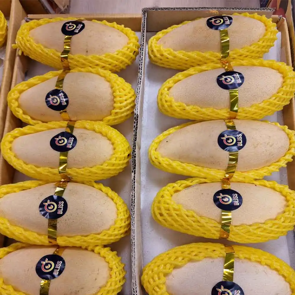 مانجو 5 كيلو سعر خاص