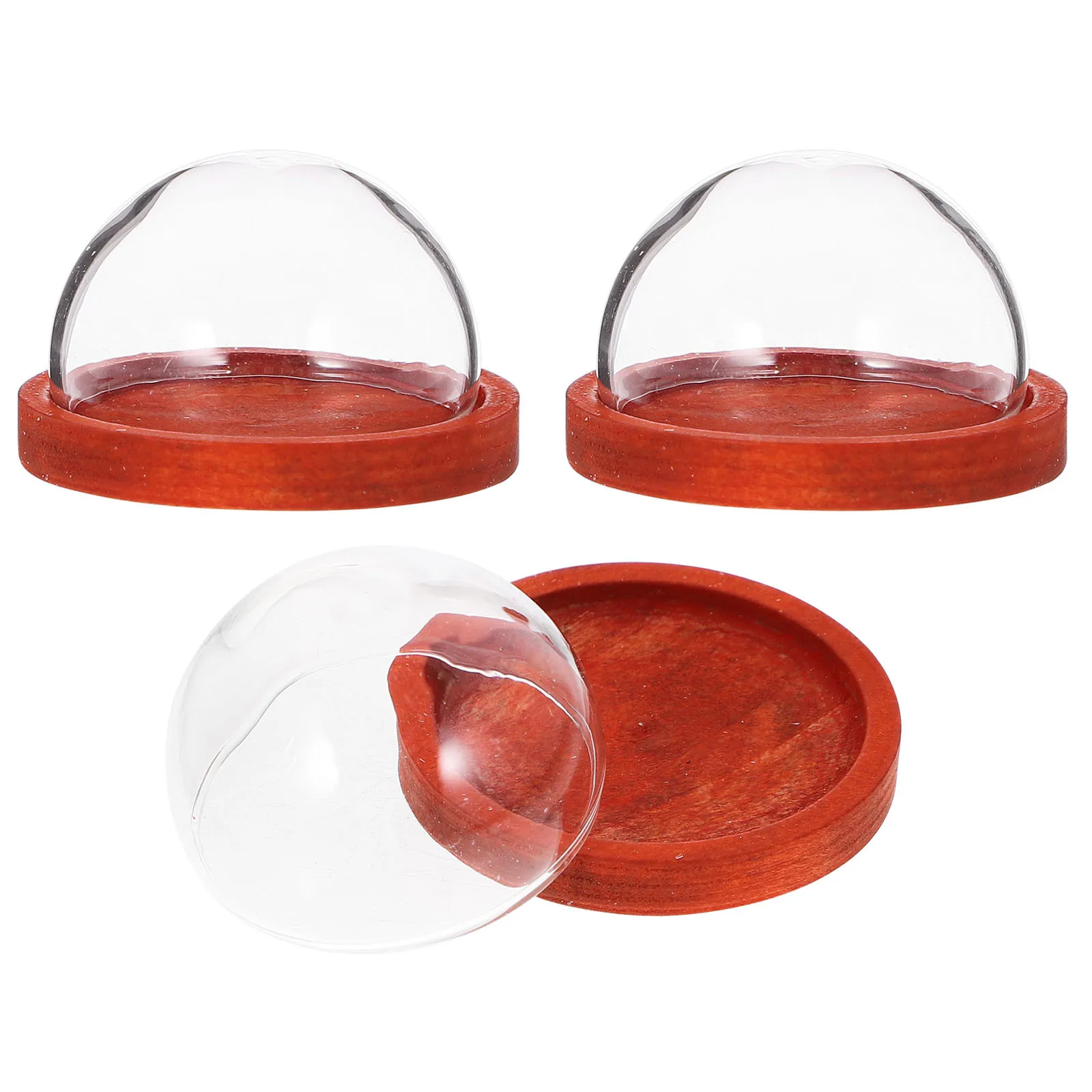 

3Pcs Eternal Flower Glass Dome with Flat Wood Base Home Decor Mini Display Dome for Table Office Desktop Decoration