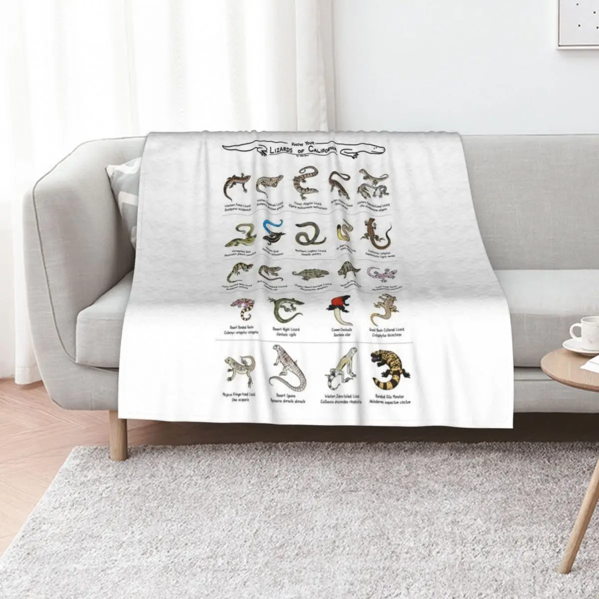 

Lizards of California Throw Blanket Travel Cute Comforter Soft Plush Plaid Blankets