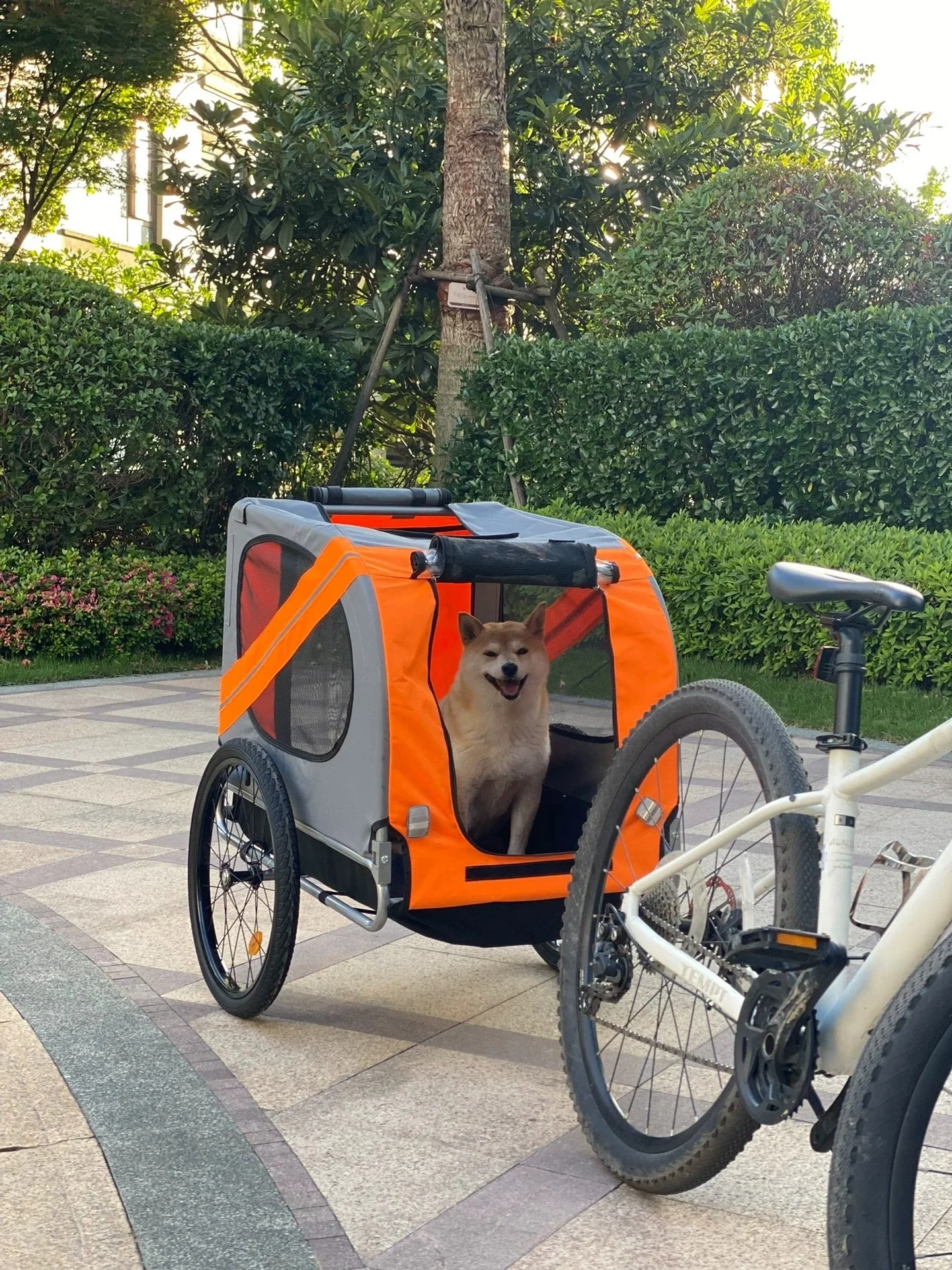 

Коляска для домашних животных, клетка для кошек, собак, тележка, дорожная складная переноска, велосипед для собак, прицеп, коляска для бега