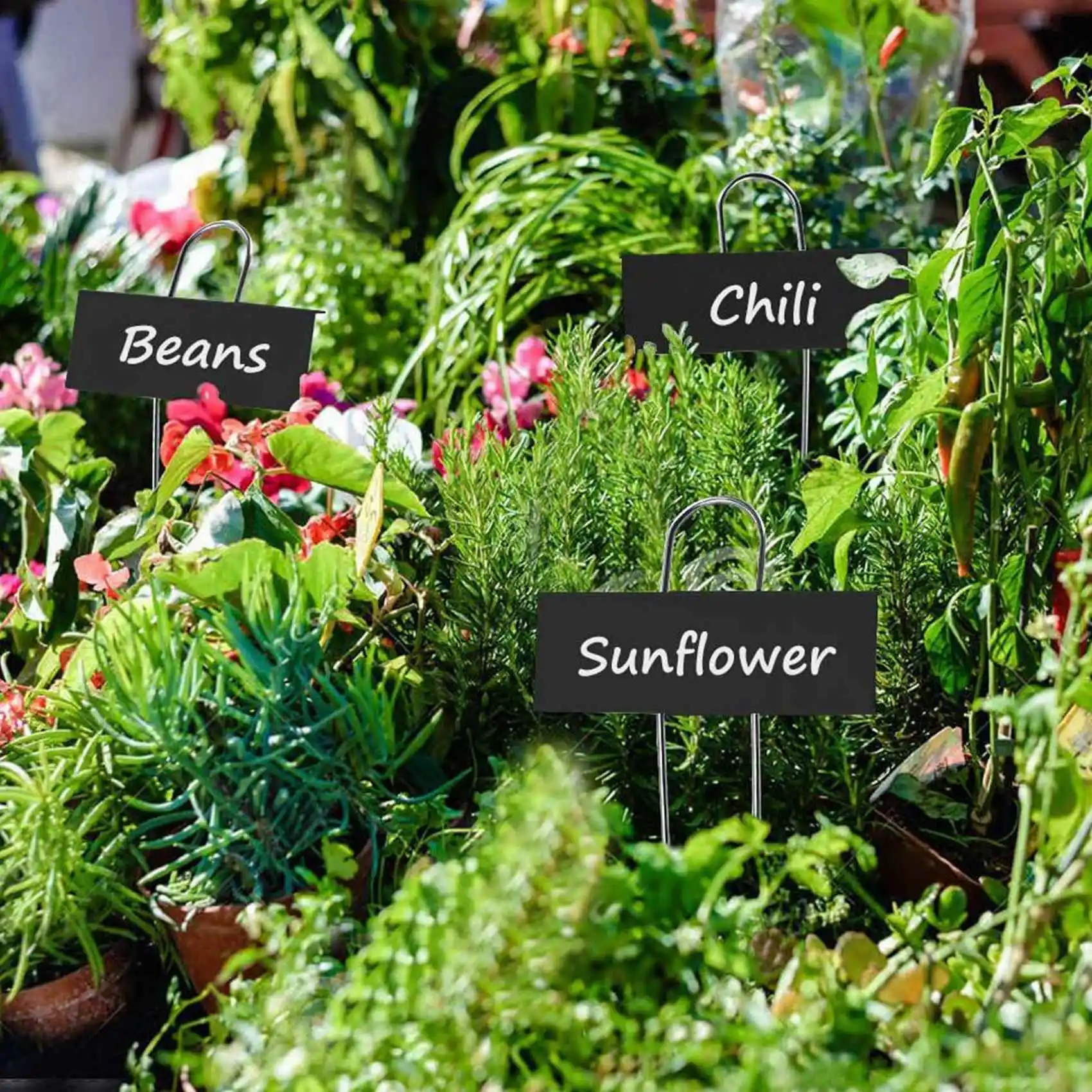 

ABFS 60 Pcs Metal Plant Labels Weatherproof Garden Markers Reusable Nursery Tags For Vegetables Herb Flower Greenhouse Black
