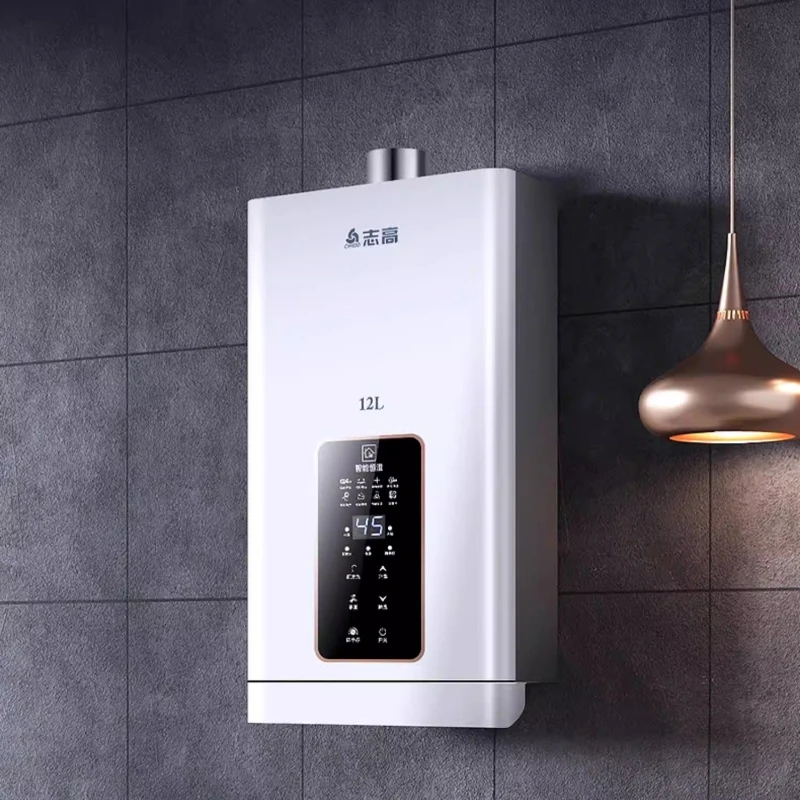 12L Gas Water Heater Household Constant Temperature Natural Gas LPG Zero Cold Water Balanced Type