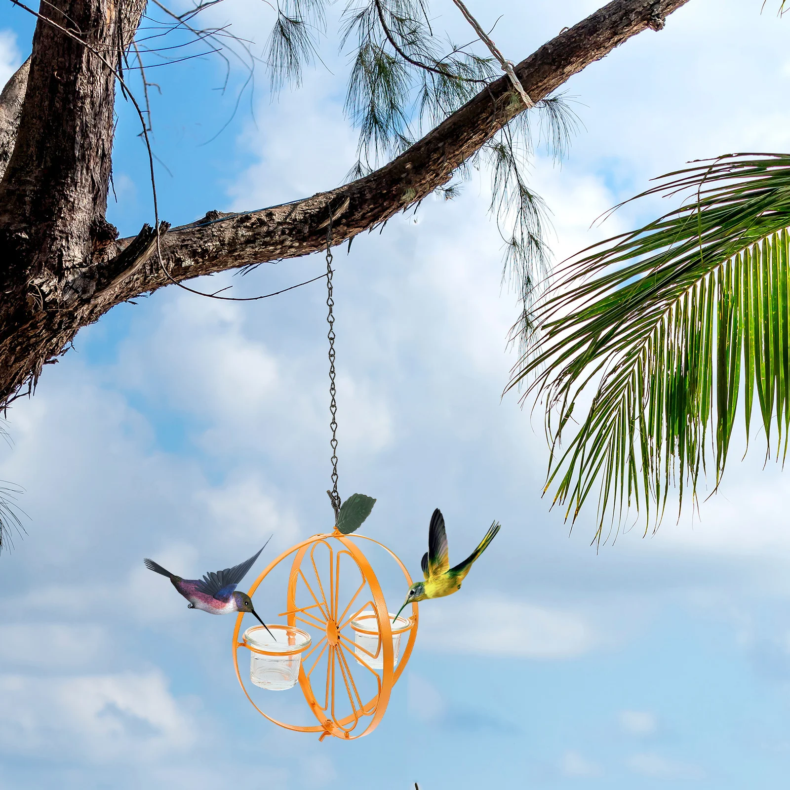 

Exquisite Workmanship Hummingbird Feeder Multi-Function Daily Bird Supplies Durable and Practical for Outdoors and Gardens