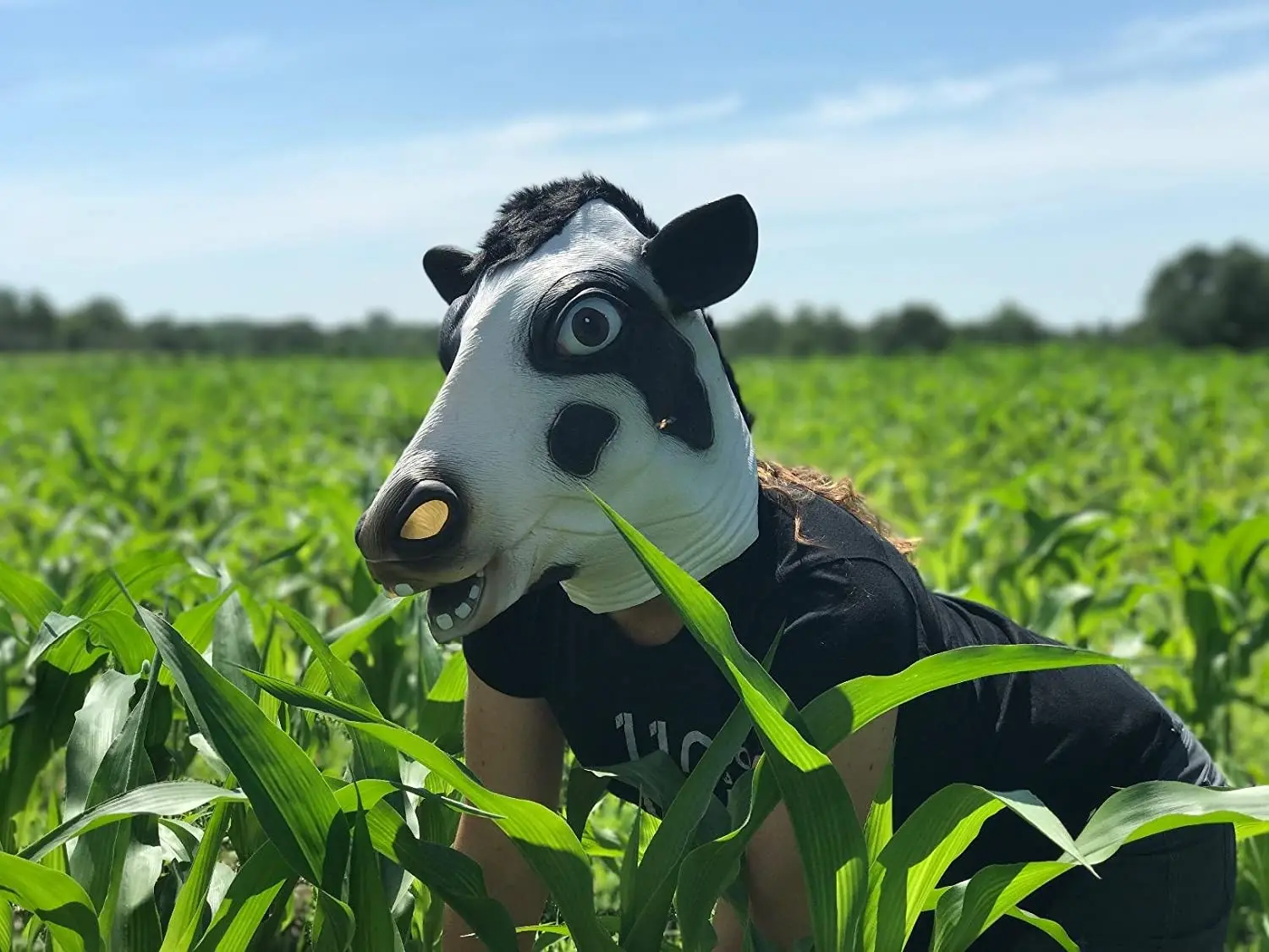 Animal Mask for Adults, Cow Head, Funny Masquerade, Dressing Up Cow Masks, Party Mask