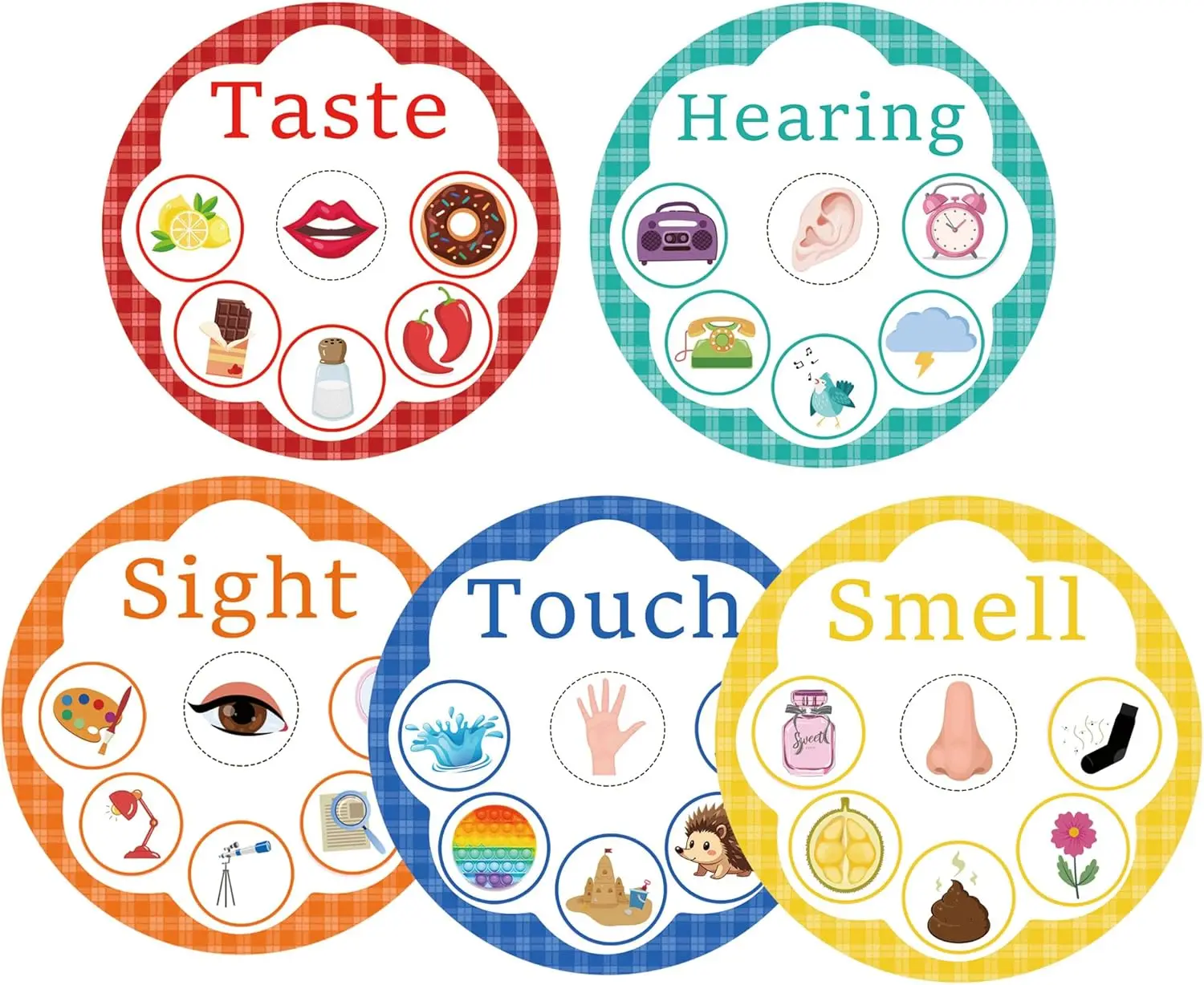 Cartes d'activités éducatives 5 Sens, 8 pouces, cartes de tri des cinq sens, jeu d'apprentissage, développement de la motricité fine, cartes pour l'école à domicile