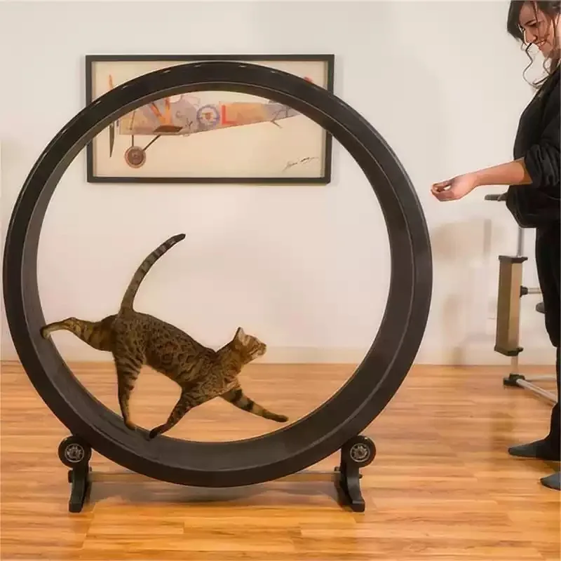 Silent Cat Exercise Wheel Pet Treadmill Running Roller Indoor Kitten Fitness Toy Cat Climbing Frame Accessory