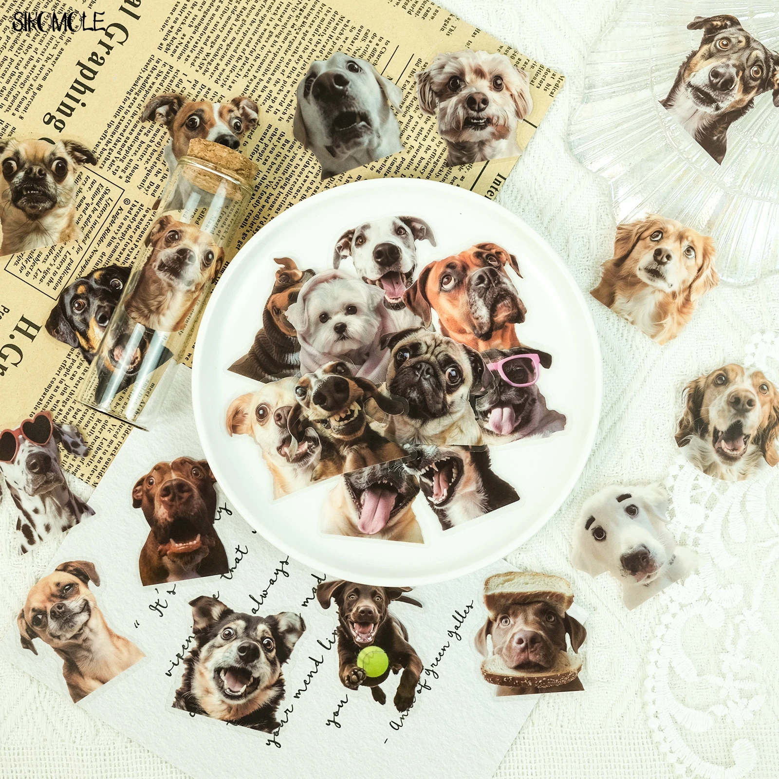 50PCS Transparent Realistic Dogs PET Sticker For Kid DIY Mobile Phone Cases Accounts Laptops Skateboards Decal Graffiti Stickers