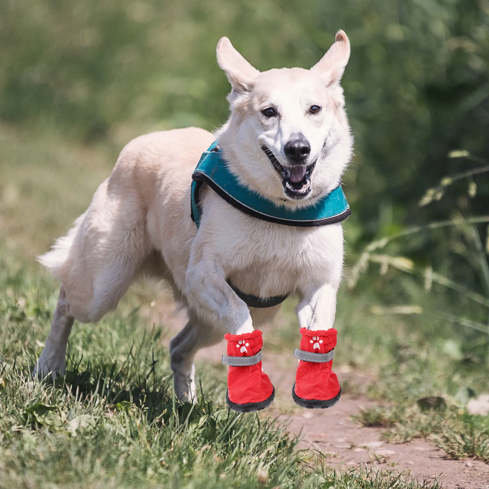 

Dog Paw Protection Boots Waterproof Pet Shoes Outdoor Booties Winter Red Polyester