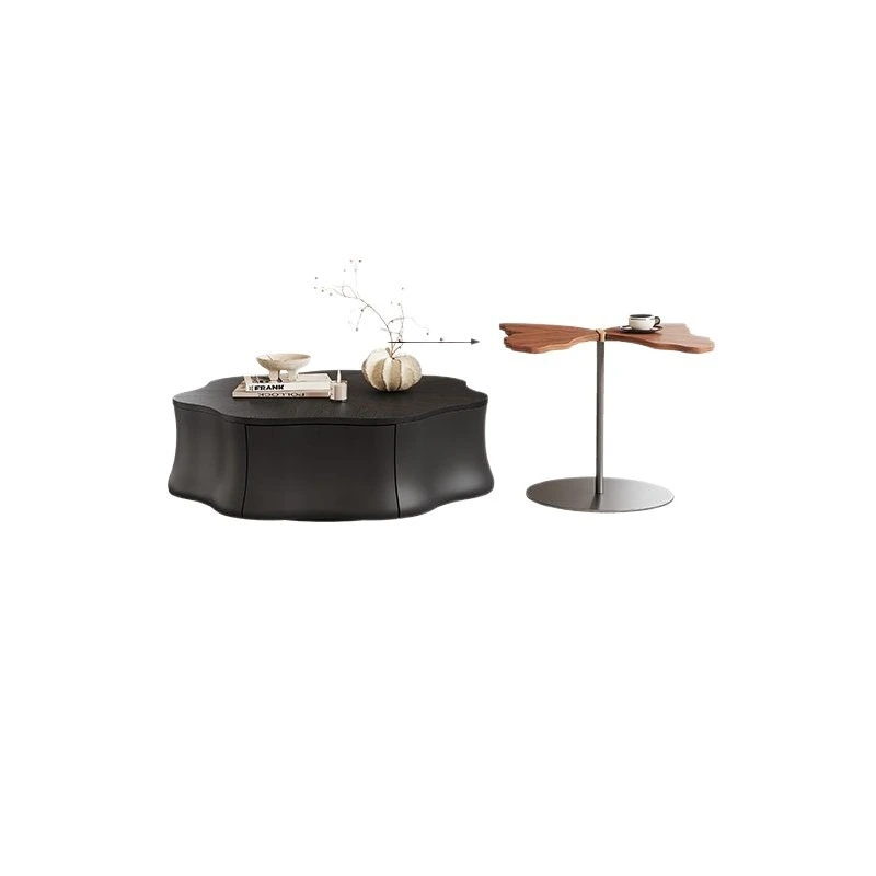 Minimalist coffee table, living room home storage black coffee table, side table