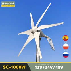 DIDITO 1000W New Energy Household Small Horizontal Wind Turbine Generator 12v 24v 48V With MPPT Controller Low Noise Windmill