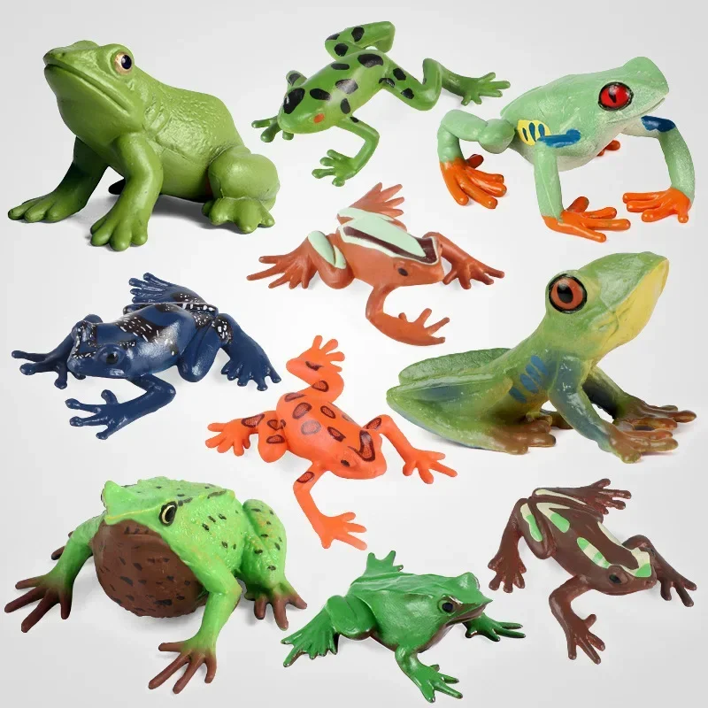 Figuras anfibios de animales salvajes para niños, simulación cognitiva, modelo educativo de ciencia, rana Darwin, adorno de paisaje de la selva tropical